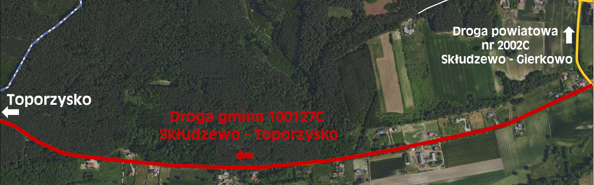 Wycinka drzew wzdłuż drogi Skłudzewo – Toporzysko